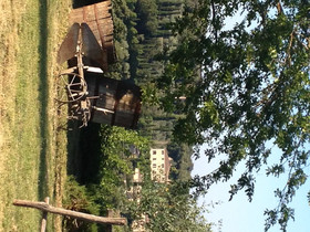 Agriturismo Podere Ficareto