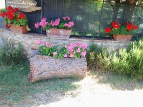 Casale il Colombaio di Toiano