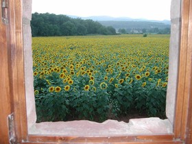 Casale il Colombaio di Toiano
