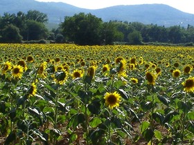 Casale il Colombaio di Toiano