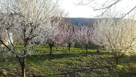 Podere Casetta