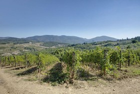 Agriturismo La Presura