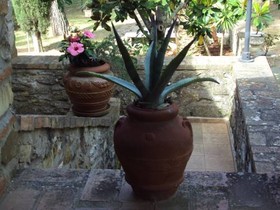Casa Cavallo