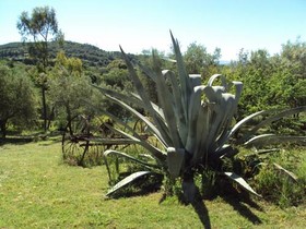 Casa Cavallo
