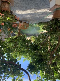 Il Giardino Dei Limoni
