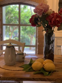 Il Giardino Dei Limoni
