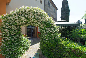 Torre Antica