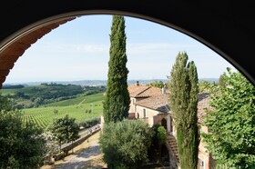 Laqua Vineyard