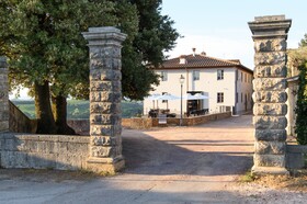 Laqua Vineyard