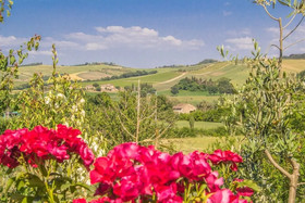I Due Cipressi