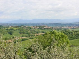 Casa Bella