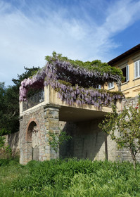 Villa I Delfini