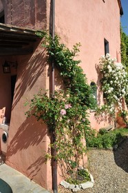Art Apartment Casale Sant'Anna