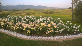 Agriturismo Spazzavento
