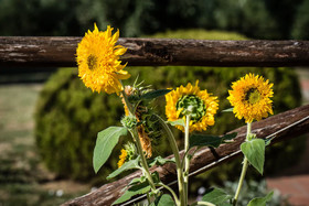 Agriturismo Spazzavento