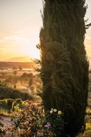 Azienda Agricola Musignano