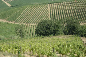 Azienda Agricola Musignano