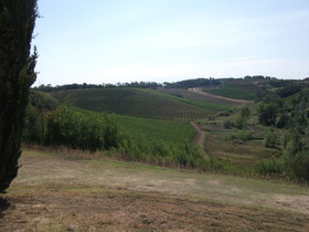 Azienda Agricola Musignano