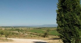 Azienda Agricola Musignano