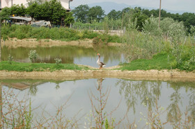 Azienda Agricola Musignano