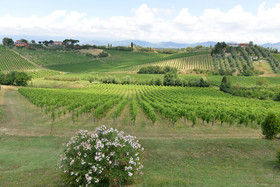 Azienda Agricola Musignano