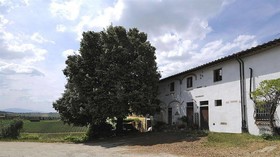 Tassinaia Bed and Breakfast