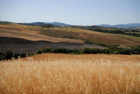 Agriturismo Mannaioni