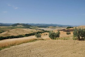 Agriturismo Mannaioni