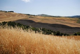 Agriturismo Mannaioni