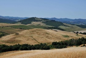 Agriturismo Mannaioni