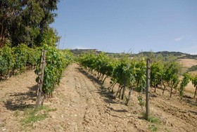 Agriturismo Mannaioni