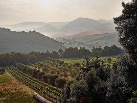 Agriturismo Podere Cortilla