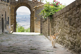 Albergo Diffuso Volterra