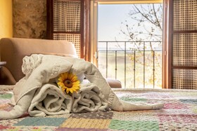B&B Diacceroni