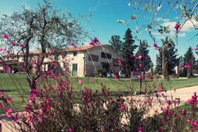 B&B Diacceroni