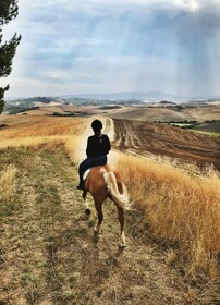 Glamping Diacceroni