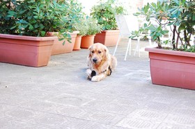 La Locanda