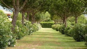 Villa Toscana