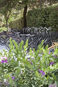 Hotel Franceschi – Villa Mimosa