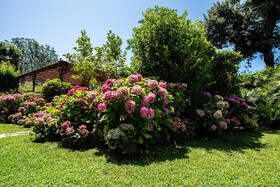 Hotel Franceschi – Villa Mimosa