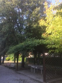 Casa Del Lagotto