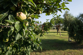 Antico Podere San Francesco