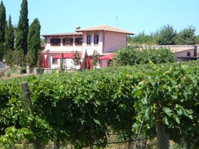 Azienda Agricola Sinisi