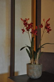 Rome Airport Hotel Fiumicino