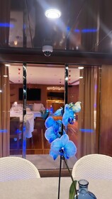 Davidon Yacht