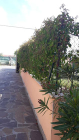 Sabrina Airport