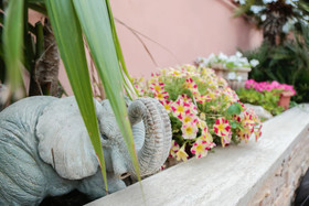 Villa Erasi Bed And Breakfast