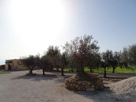 Podere 1248