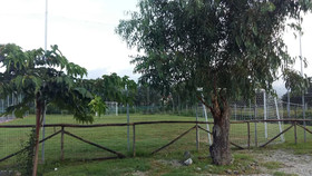 Camping Ulisse