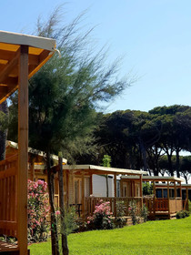 Gitavillage California